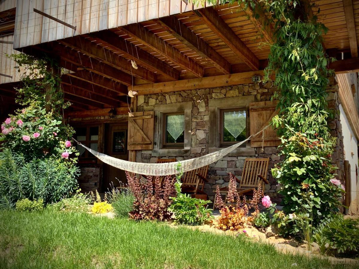 Le Chalet du Silberrain à Osenbach - Luxe, charme et authenticité Villa Esterno foto