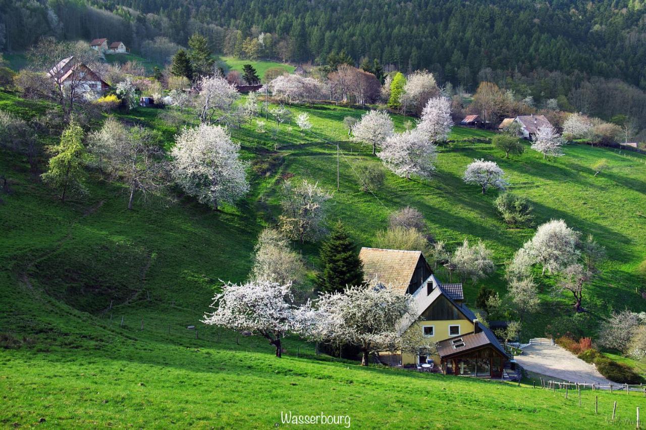 Le Chalet du Silberrain à Osenbach - Luxe, charme et authenticité Villa Esterno foto