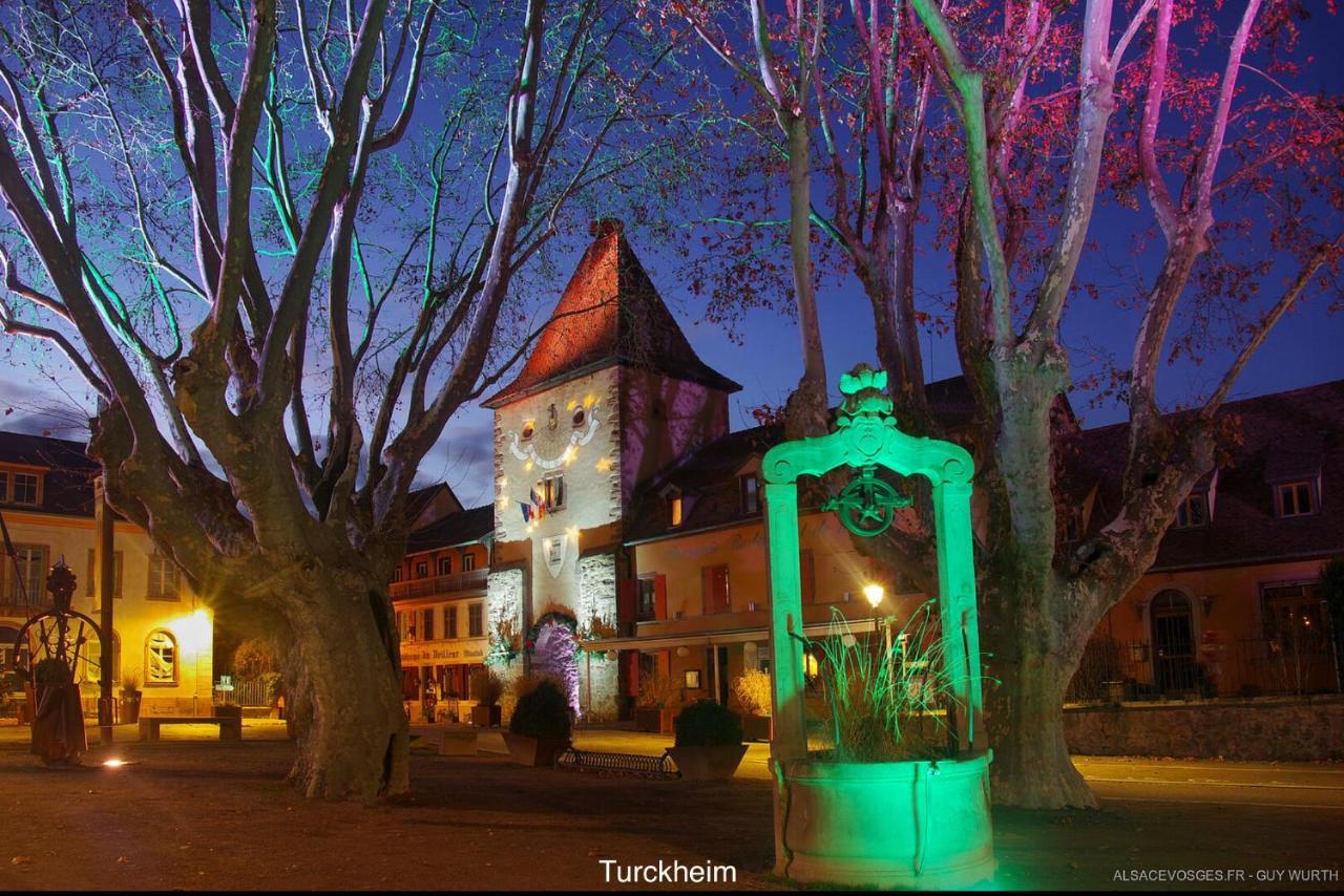 Le Chalet du Silberrain à Osenbach - Luxe, charme et authenticité Villa Esterno foto