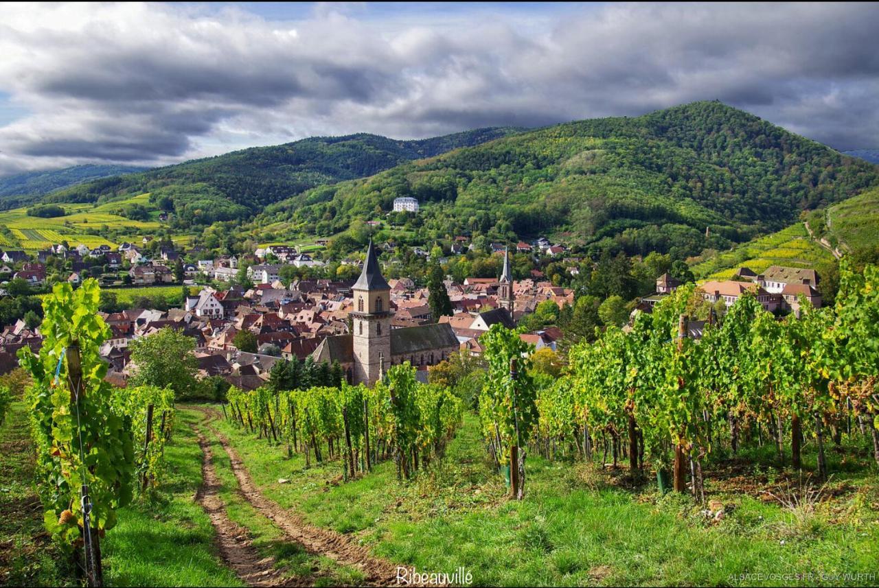 Le Chalet du Silberrain à Osenbach - Luxe, charme et authenticité Villa Esterno foto