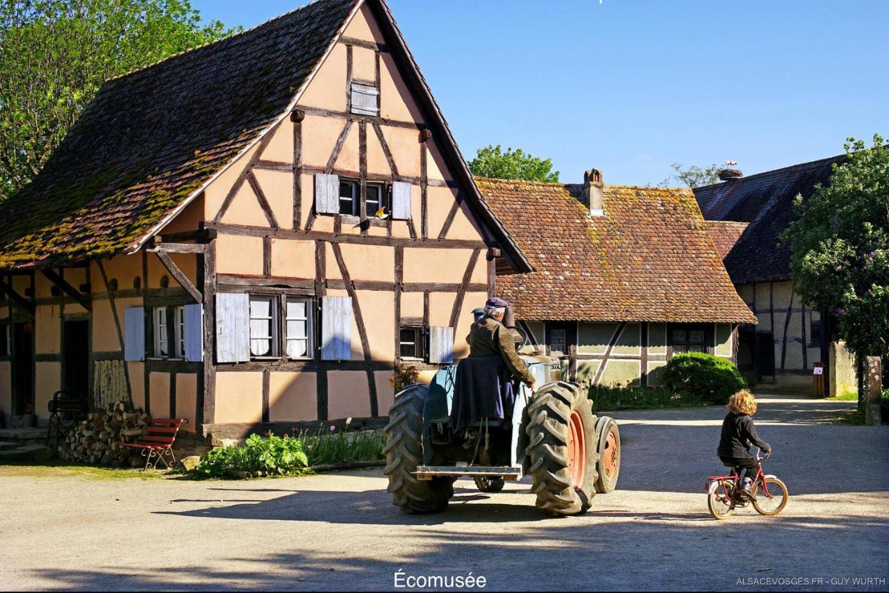 Le Chalet du Silberrain à Osenbach - Luxe, charme et authenticité Villa Esterno foto