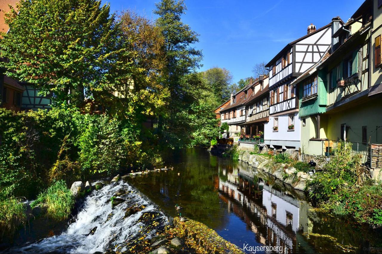 Le Chalet du Silberrain à Osenbach - Luxe, charme et authenticité Villa Esterno foto